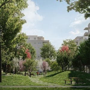 Vlčince. Zdroj: Reinoo