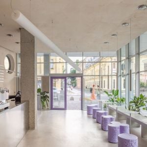 Mimóza gelato. Autor: Matej Hakár