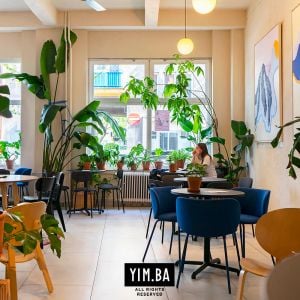 Autor: Nino Belovič / YIM.BA