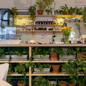 Autor: Nino Belovič / YIM.BA