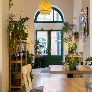 Autor: Nino Belovič / YIM.BA