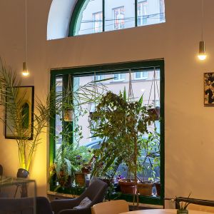 Autor: Nino Belovič / YIM.BA