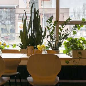 Autor: Nino Belovič / YIM.BA