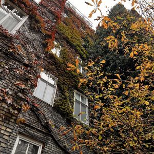 Vnútorný priestor domu nárožia Klemensovej a Grösslingovej ulice. Autorka: Lucia Lišková