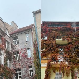 Secesný vnútroblok Jakubovho námestia. Autorka: Lucia Lišková