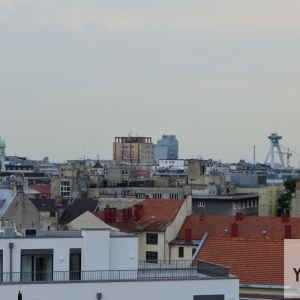 Prvá výšková budova v Bratislave, Manderla, bola súčasníkmi kritizovaná podobne ako dnešné výškové budovy. Išlo však o prvý symbol toho, že Bratislava sa chcela profilovať ako ambiciózne mesto, hľadiace do budúcnosti namiesto minulosti.