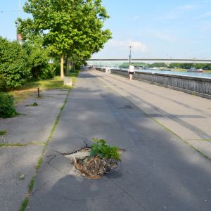 Povrchy potrebujú obnovu, rovnako ako zeleň