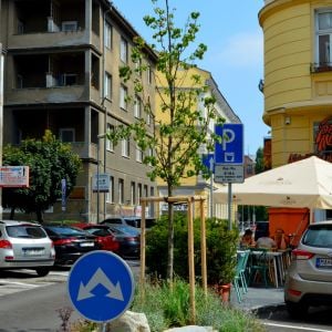 Tobrucká ulica, nový strom na mieste, kde predtým bola vozovka.