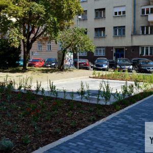 Zeleň Jakubovho námestia sa rozšírila.