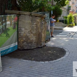 Staré Mesto sa pochválilo, že v záujme ochrany starého stromu sa rozhodlo rozšíriť priestor pre korene. V danom mieste je chodník rozšírený.