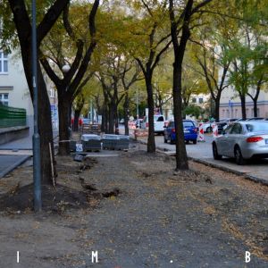 Cyklotrasa vznikne medzi dvoma radmi stromov