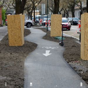 Cyklotrasa sa vyhýba stromom. Fotené 4.4.2019