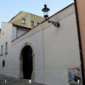 Albrechtov dom