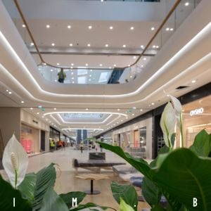 Nivy v čase otvorenia. Autor: Dominik Jursa / YIM.BA