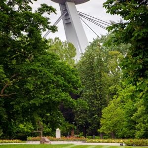 Sad Janka Kráľa, fotografia z 31.5.2023. Autor: Nino Belovič / YIM.BA