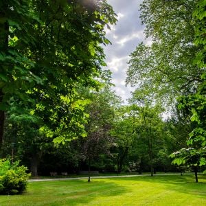 Sad Janka Kráľa, fotografia z 31.5.2023. Autor: Nino Belovič / YIM.BA