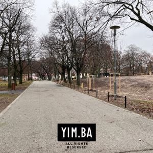 Autor: Adrian Gubčo / YIM.BA