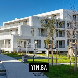 Autor: Nino Belovič / YIM.BA