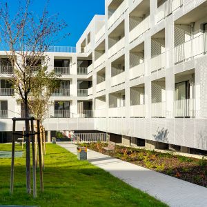 Autor: Nino Belovič / YIM.BA