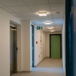 Autor: Nino Belovič / YIM.BA