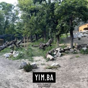 Výbeh pre rysy ostrovidy. Autor: Adrian Gubčo / YIM.BA