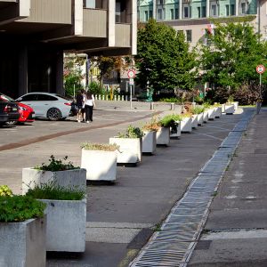 Autor: Nino Belovič / YIM.BA