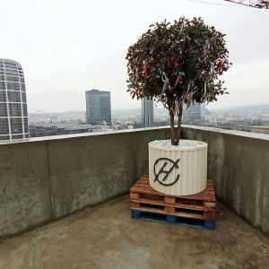 Autorka: Simona Schreinerová / YIM.BA