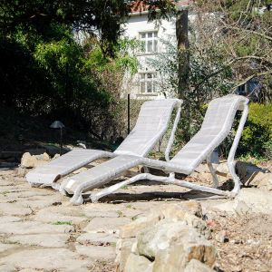 Kochova záhrada. Autor: Nino Belovič / YIM.BA