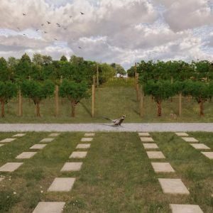 Cintorín Rača. Zdroj: bams