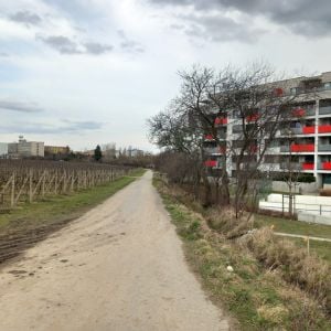 Zdroj: Michal Drotován - starosta mestskej časti Bratislava - Rača