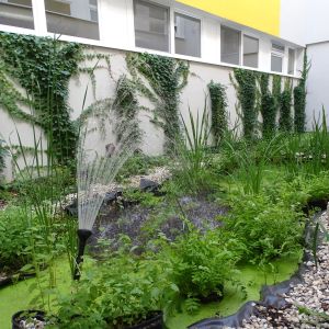 Zdroj: Mestská časť Bratislava - Karlova Ves