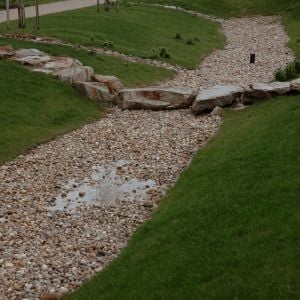 Dažďová záhrada niekoľko hodín po búrke. Zdroj: Corwin