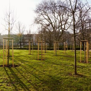 Zdroj: Mestská časť Bratislava - Staré Mesto