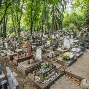 Nový cintorín pre Bratislavu? Mesto chce zistiť, ako zvýšiť kapacitu hrobových miest, v hre je viacero scenárov