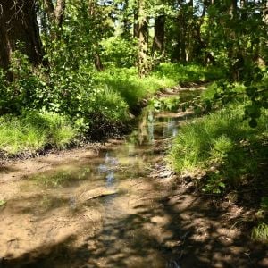 Zdroj: Bratislavský samosprávny kraj