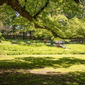 Zdroj: Bratislavský samosprávny kraj