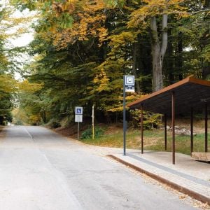 Zdroj: Mestské lesy v Bratislave