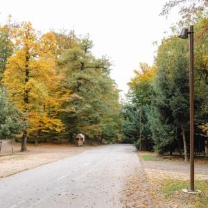 Zdroj: Mestské lesy v Bratislave