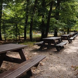 Zdroj: Mestské lesy v Bratislave