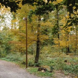 Zdroj: Mestské lesy v Bratislave