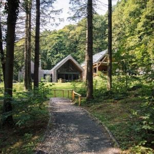 Zdroj: Mestské lesy v Bratislave