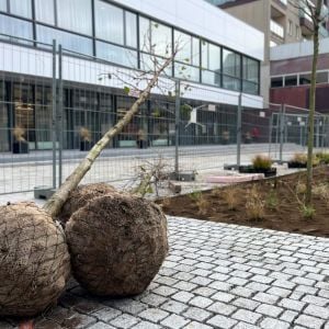 Hviezdoslavova. Zdroj: Mesto Trenčín