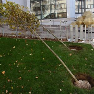 Hviezdoslavova. Zdroj: Mesto Trenčín