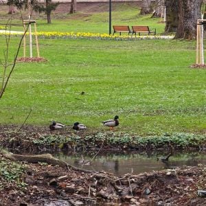 Zdroj: Bratislavský samosprávny kraj