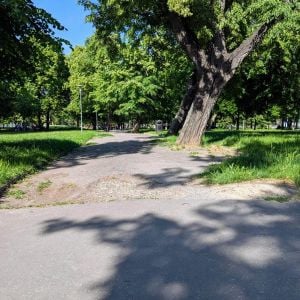 Zdroj: Matúš Čupka sa stará o Nové Mesto / FB