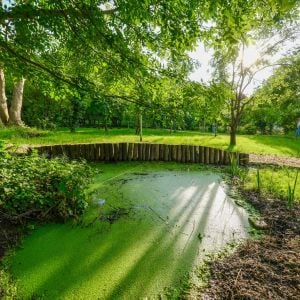 Autor: Marek Velček / Bratislava - Hlavné mesto SR