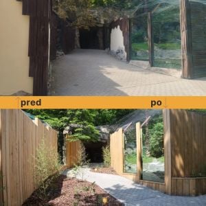 Zdroj: ZOO Bratislava
