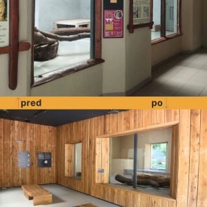 Zdroj: ZOO Bratislava