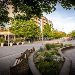 Od reliktu 90. rokov k príťažlivej destinácii. Senec chce obnoviť svoju pešiu zónu, vyhlásil architektonickú súťaž