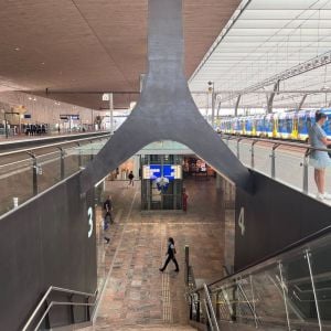 Stanica Centraal v Rottedame. Autor: Adrian Gubčo / YIM.BA